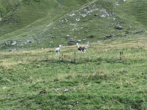 Bergwandern 2026 067