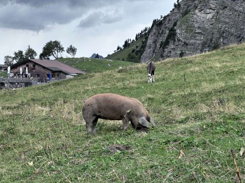 Bergwandern 2026 069