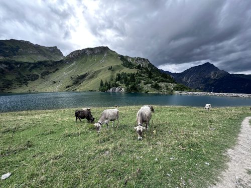 Bergwandern 2026 070