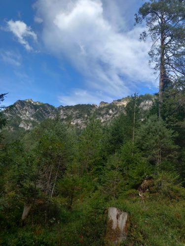 Bergwandern 2026 325