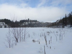 schneeschuhwandern februar 2017031