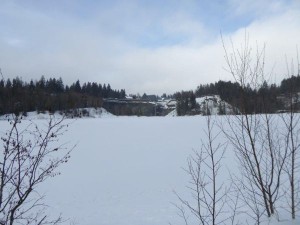 schneeschuhwandern februar 2017033